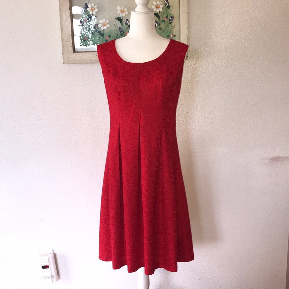 Black Label gorgeous red, lace dress